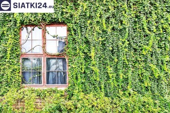 Siatki Kostrzyn nad Odrą - Siatka z dużym oczkiem - wsparcie dla roślin pnących na altance, domu i garażu dla terenów Kostrzyna nad Odrą
